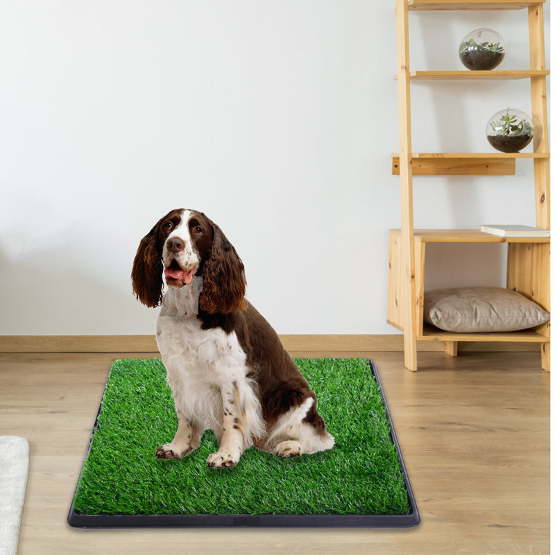 Patio grass for dogs 2025